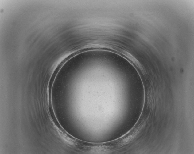 X0000061760988200512091657