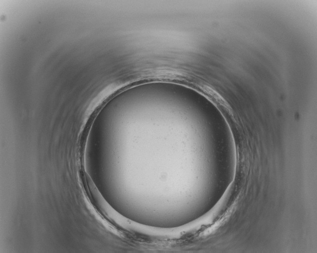 X0000061760989200512091656