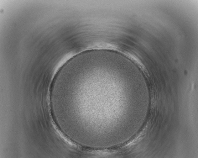 X0000061760990200512091656