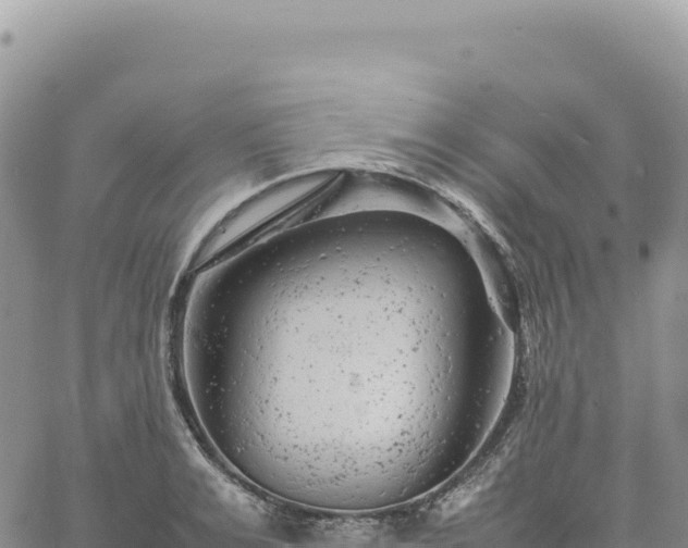 X0000061760991200512091656