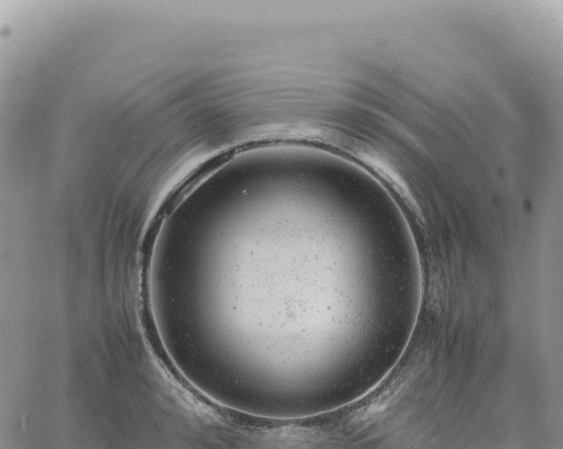 X0000061760992200512091656