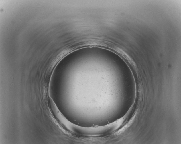 X0000061760993200512091656