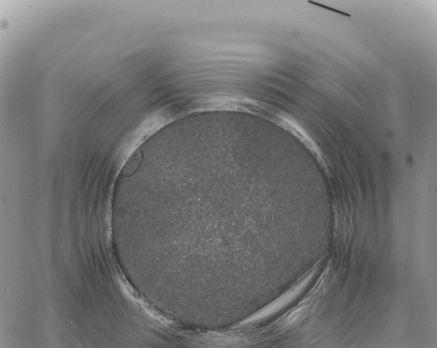 X0000061760994200512091656