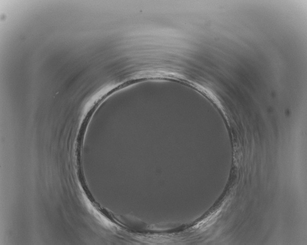 X0000061760995200512091656