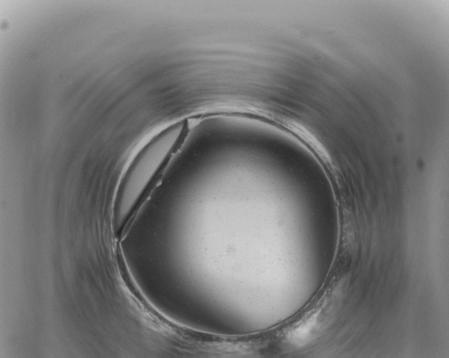 X0000061760996200512091656