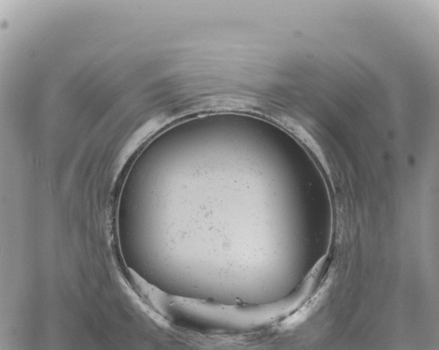 X0000061760997200512091656