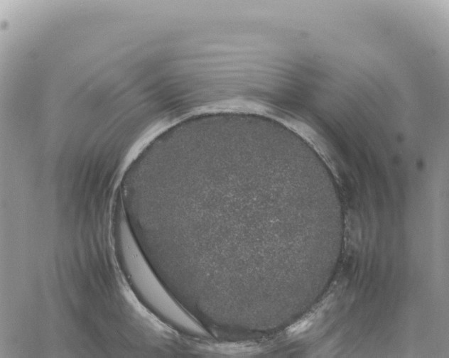 X0000061760998200512091656