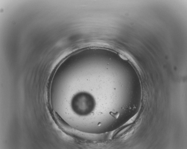 X0000061760999200512091656