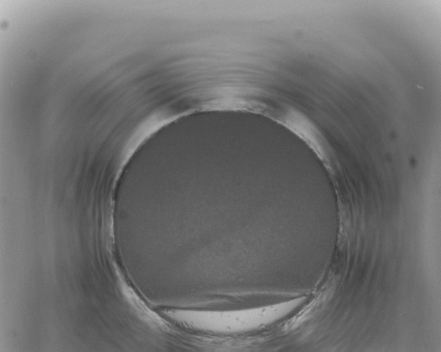 X0000061761000200512091656