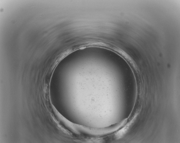 X0000061761001200512091656