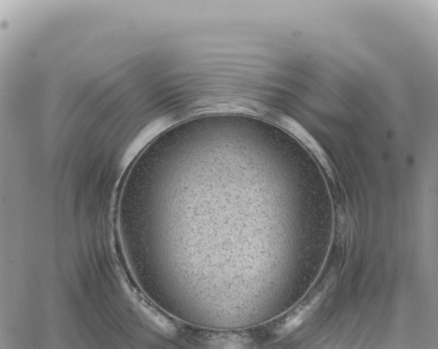 X0000061761002200512091656