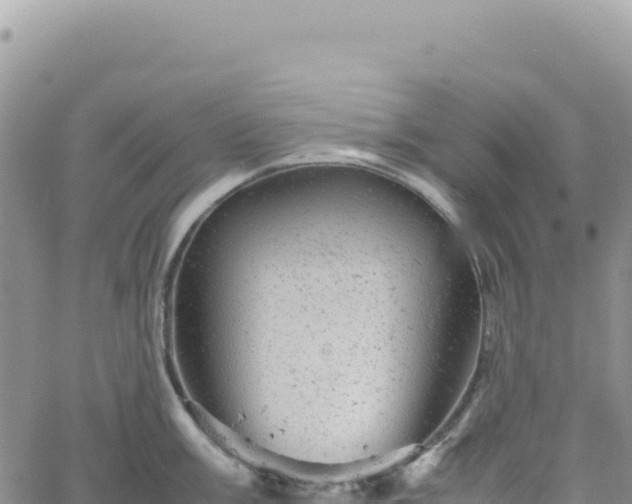 X0000061761003200512091656