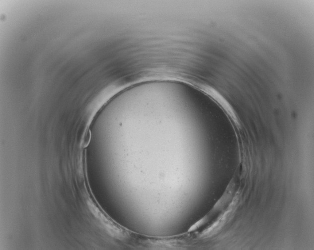 X0000061761004200512091656