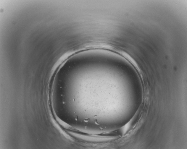 X0000061761005200512091656