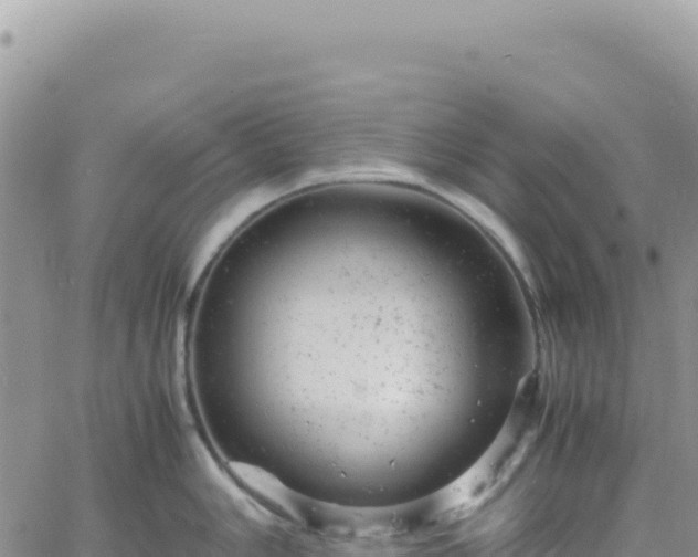 X0000061761006200512091656