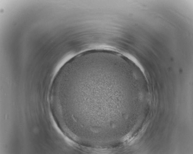 X0000061761007200512091656