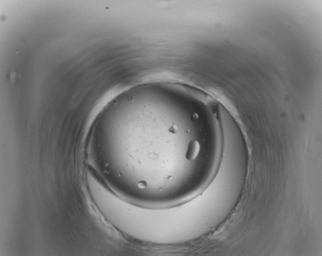 X0000061761008200512091656