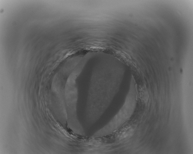 X0000061761009200512091655