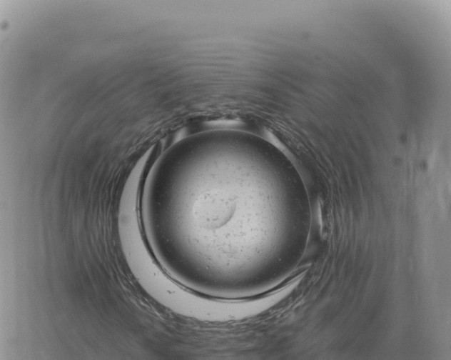 X0000061761010200512091655