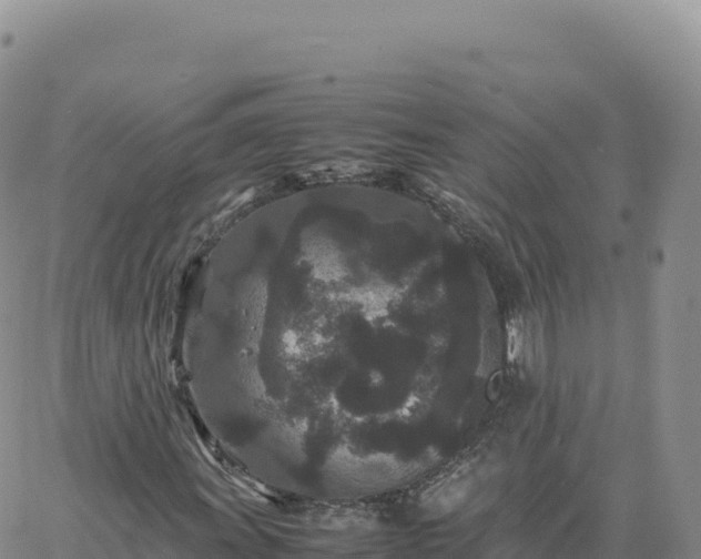 X0000061761011200512091655