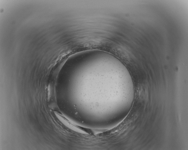 X0000061761012200512091655