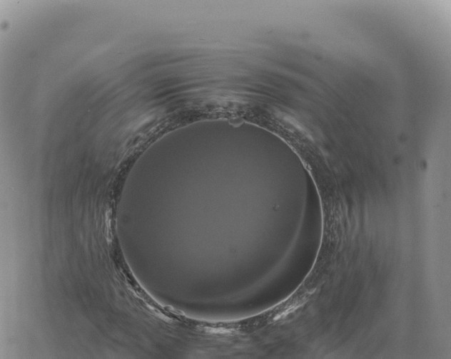 X0000061761013200512091655