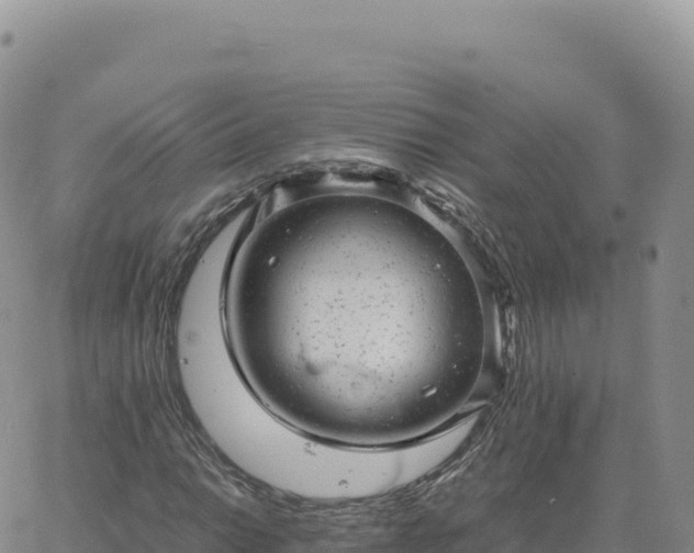 X0000061761014200512091655