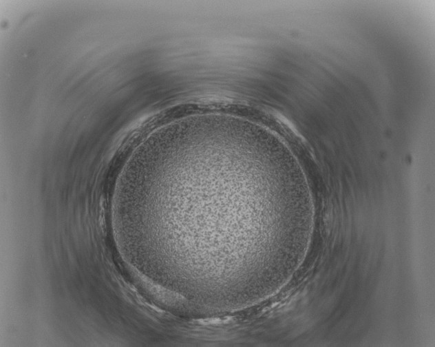 X0000061761016200512091655