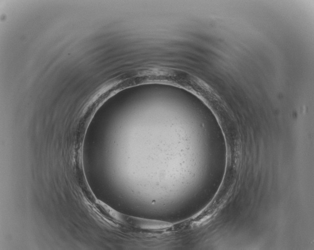 X0000061761017200512091655