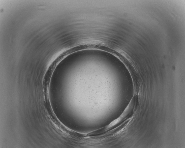 X0000061761022200512091655