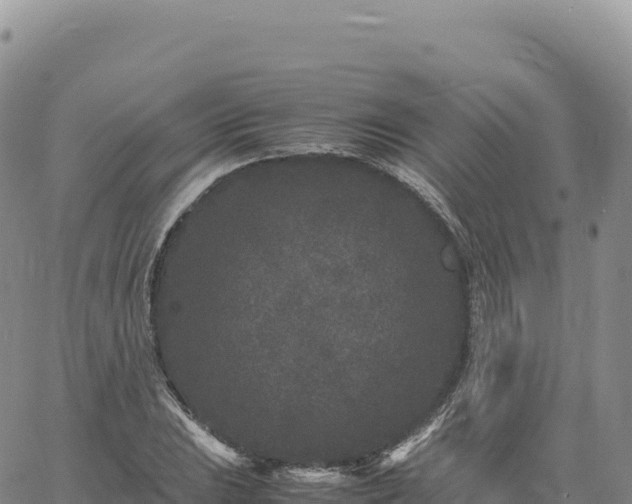 X0000061761023200512091656