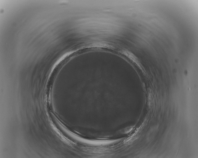 X0000061761024200512091656