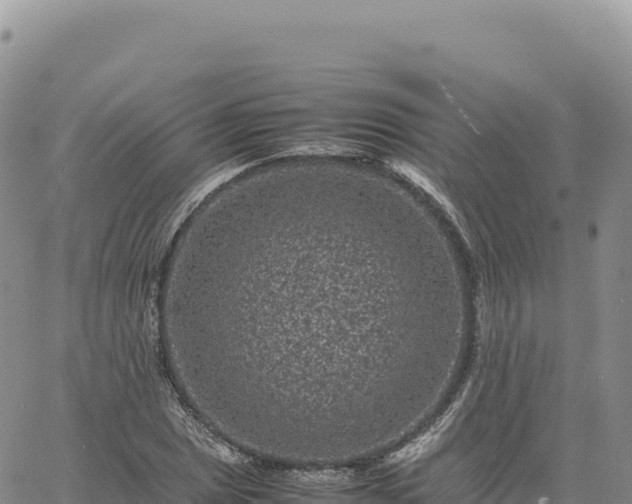 X0000061761025200512091656