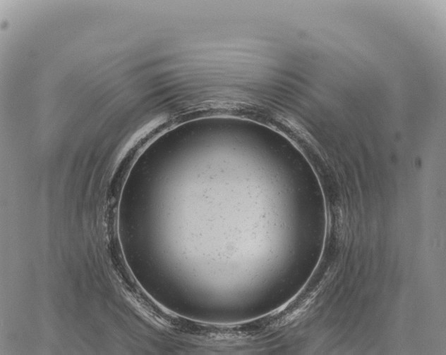 X0000061761026200512091656