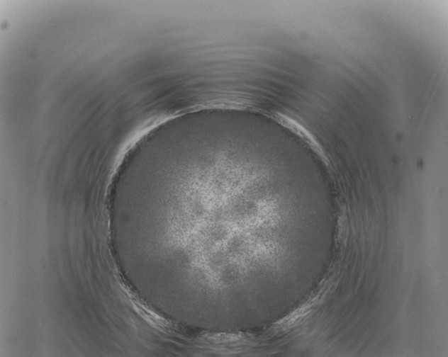 X0000061761027200512091656