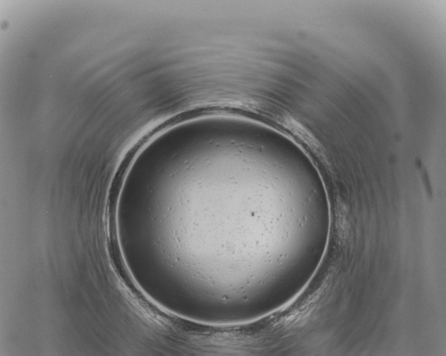 X0000061761028200512091656