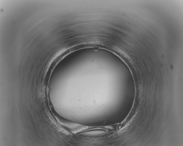 X0000061761029200512091656