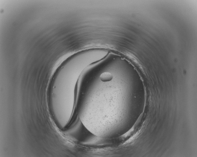 X0000061761030200512091656