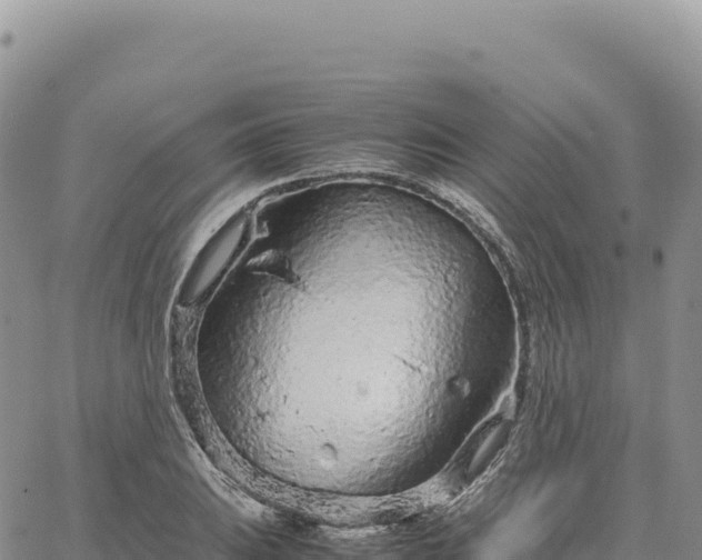 X0000061761031200512091656