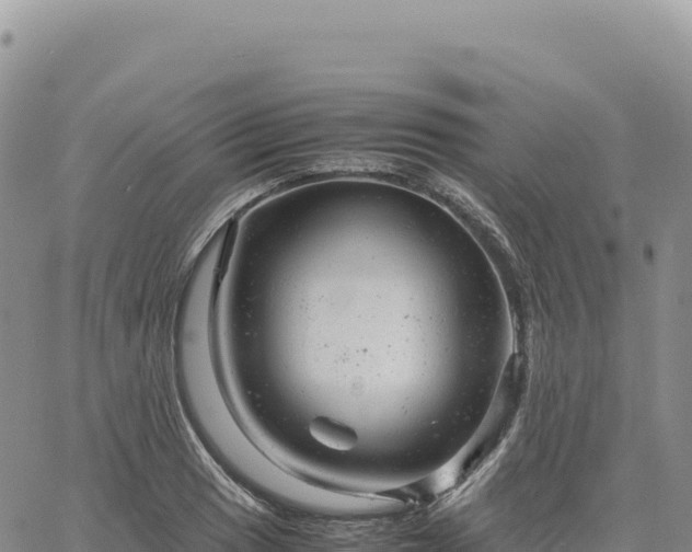 X0000061761033200512091656