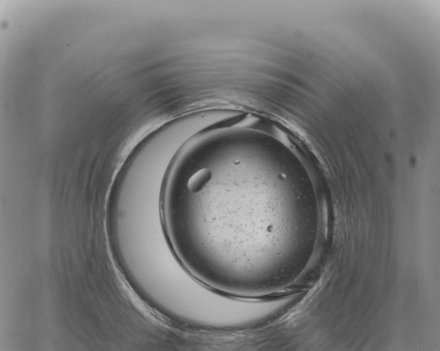 X0000061761034200512091656