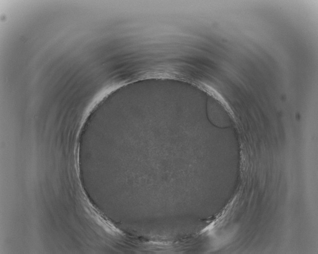 X0000061761035200512091656