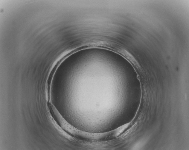 X0000061761036200512091656