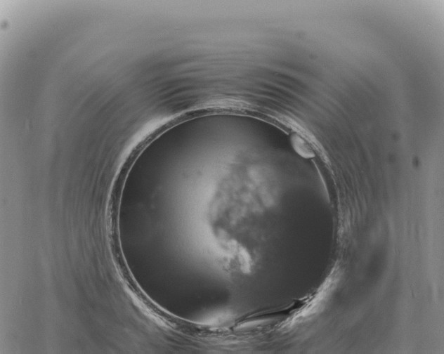 X0000061761037200512091656