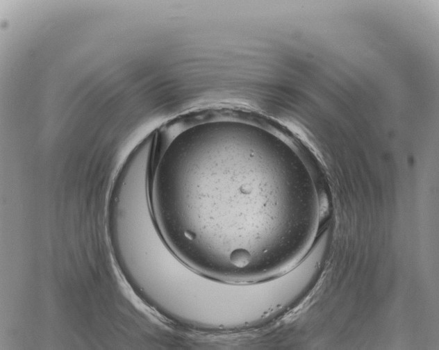 X0000061761038200512091656