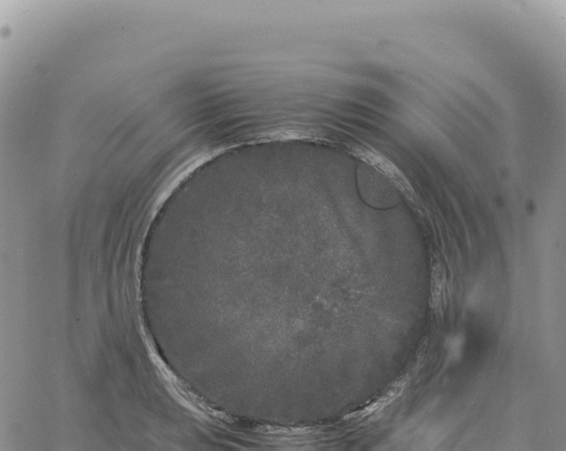 X0000061761039200512091656