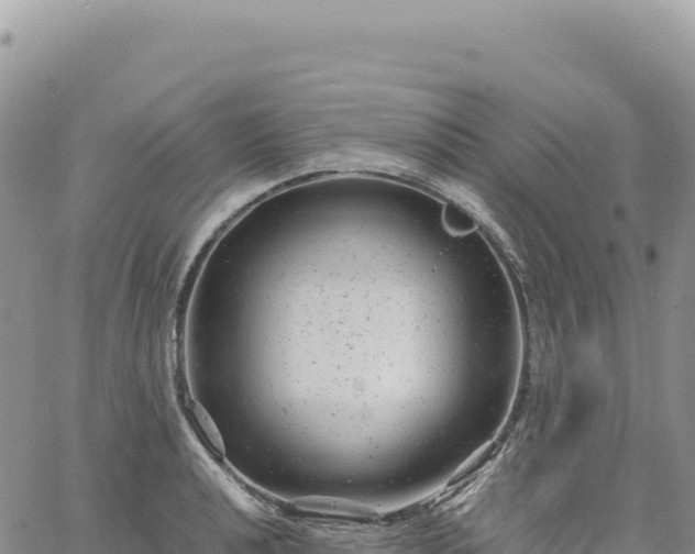 X0000061761040200512091656