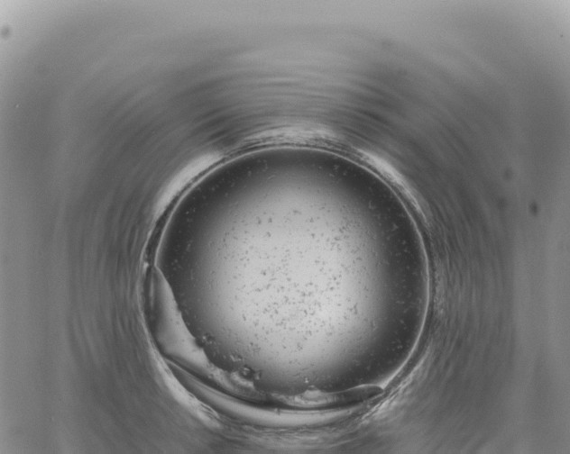 X0000061761042200512091656