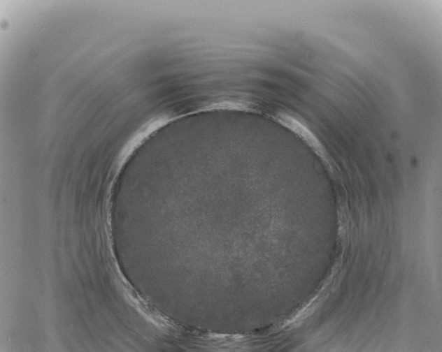 X0000061761043200512091656