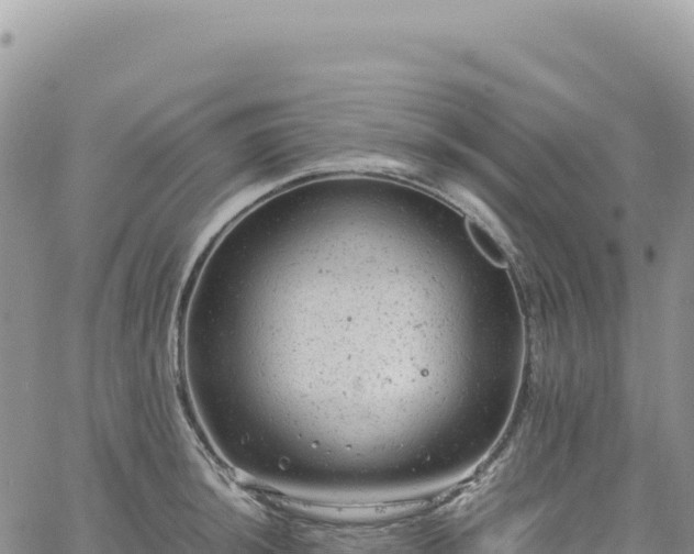 X0000061761044200512091656